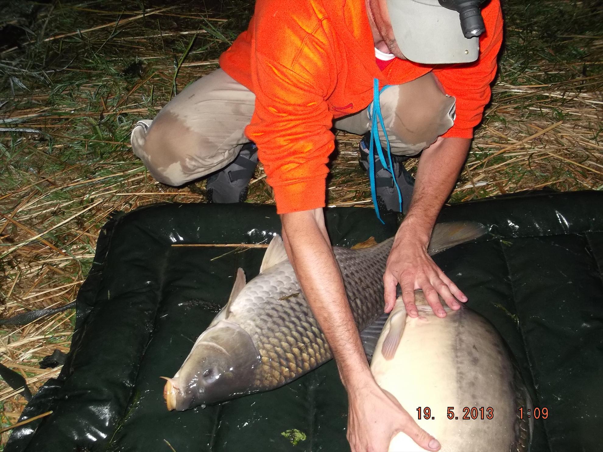 noaptea partea a ll - dscf0602.JPG